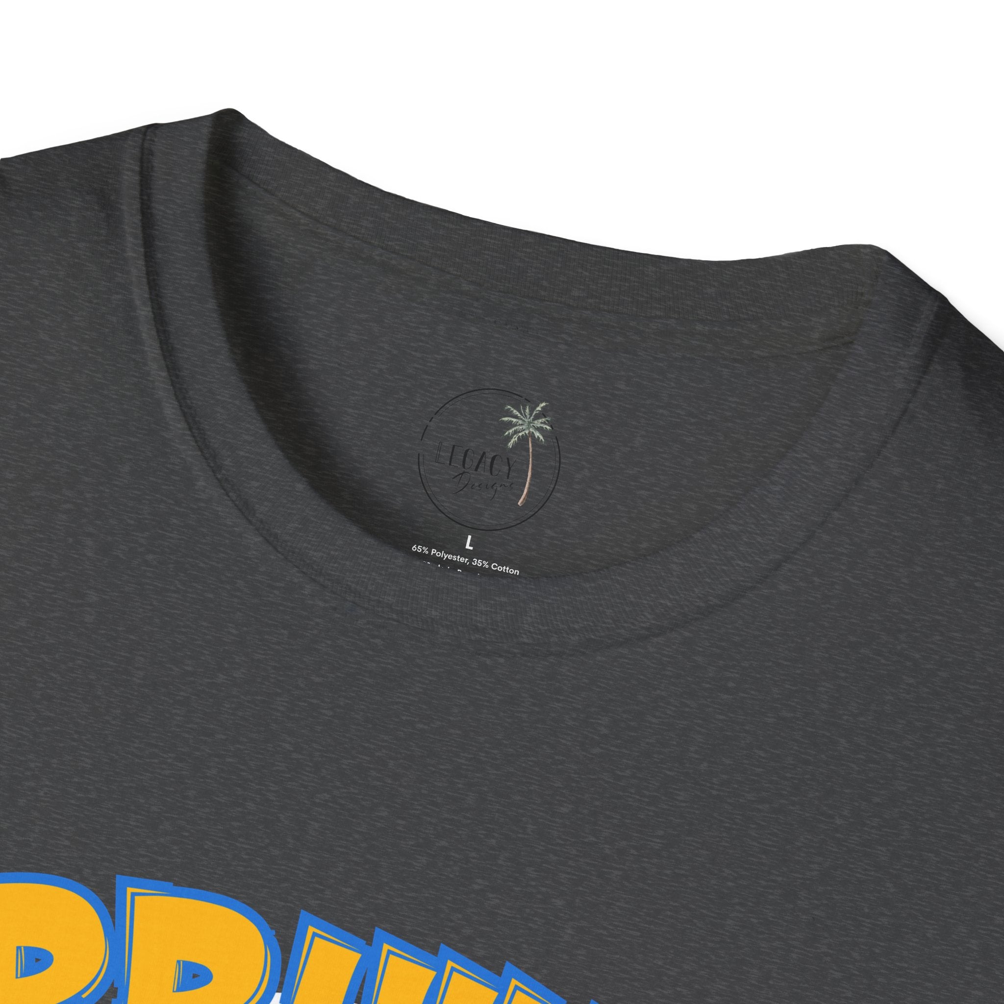 Bruins Bear Baseball T-Shirt | Vintage Mascot, Baseball Bats