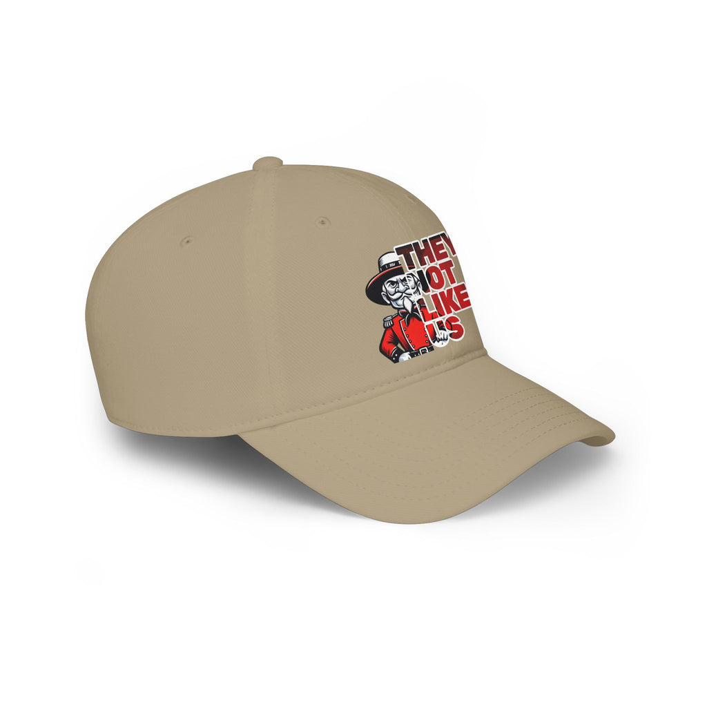 They Not Like Us Rebel Hat Bold Graphic Cap, Unisex Rebel Baseball Hat,  Low Profile Baseball Cap, Sports, Gift for Him/Her