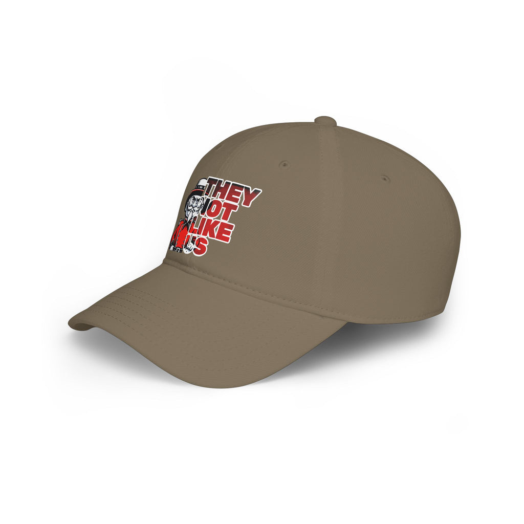 They Not Like Us Rebel Hat Bold Graphic Cap, Unisex Rebel Baseball Hat,  Low Profile Baseball Cap, Sports, Gift for Him/Her