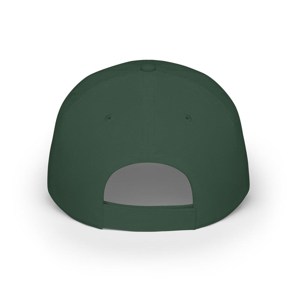 GAME DAY Low Profile Baseball Cap | leopard Stars Sport Fan Hat