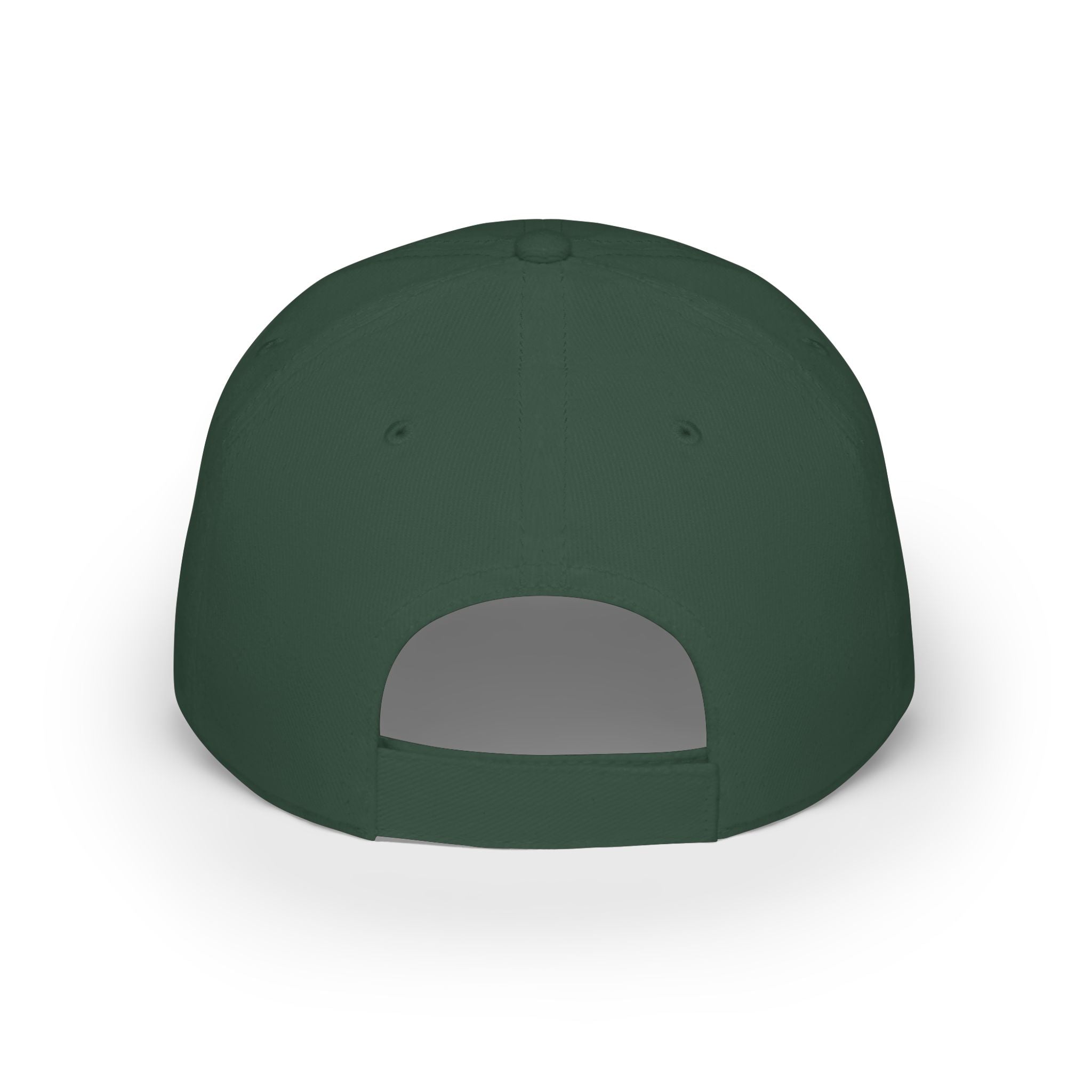 GAME DAY Low Profile Baseball Cap | leopard Stars Sport Fan Hat