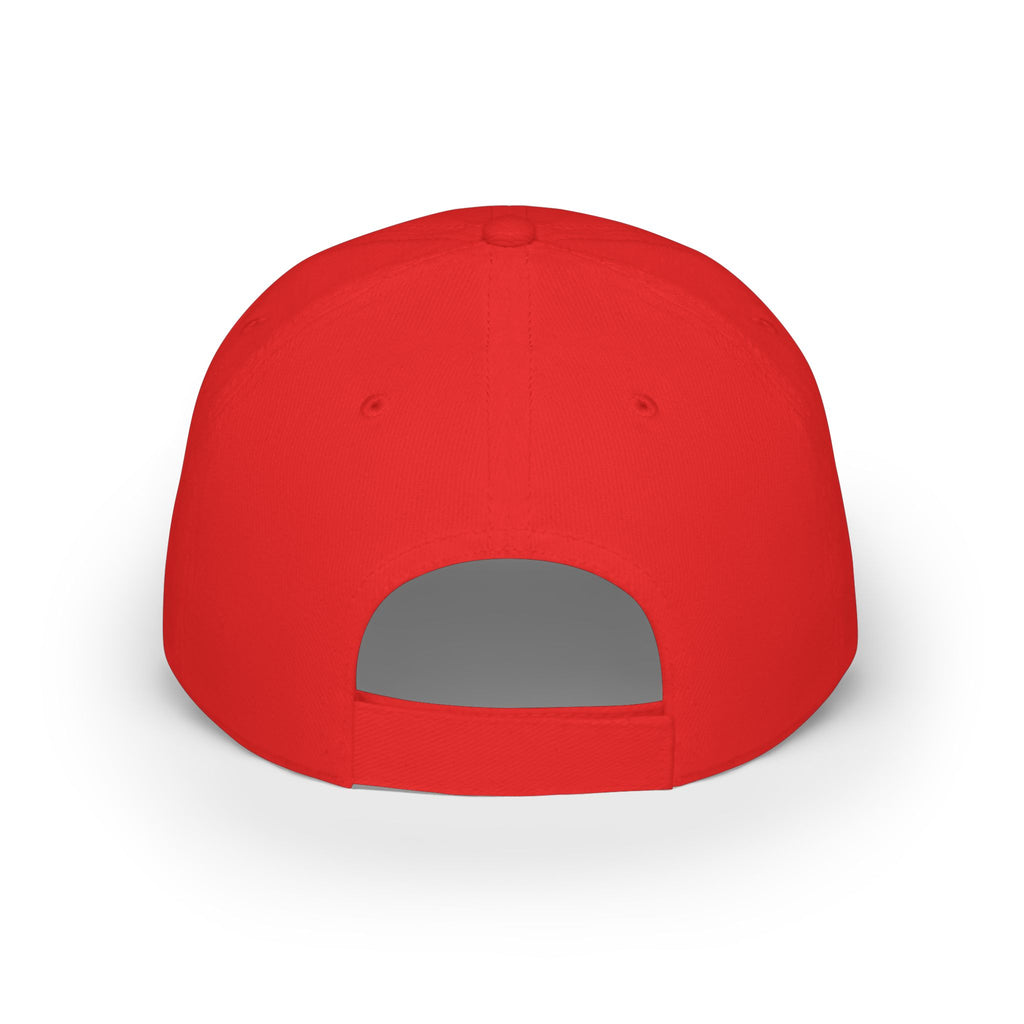 GAME DAY Low Profile Baseball Cap | leopard Stars Sport Fan Hat