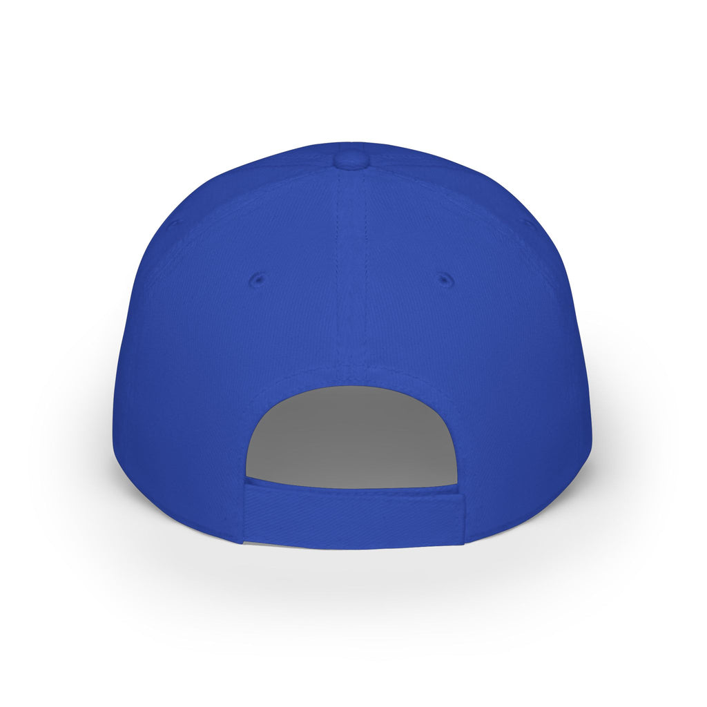 GAME DAY Low Profile Baseball Cap | leopard Stars Sport Fan Hat