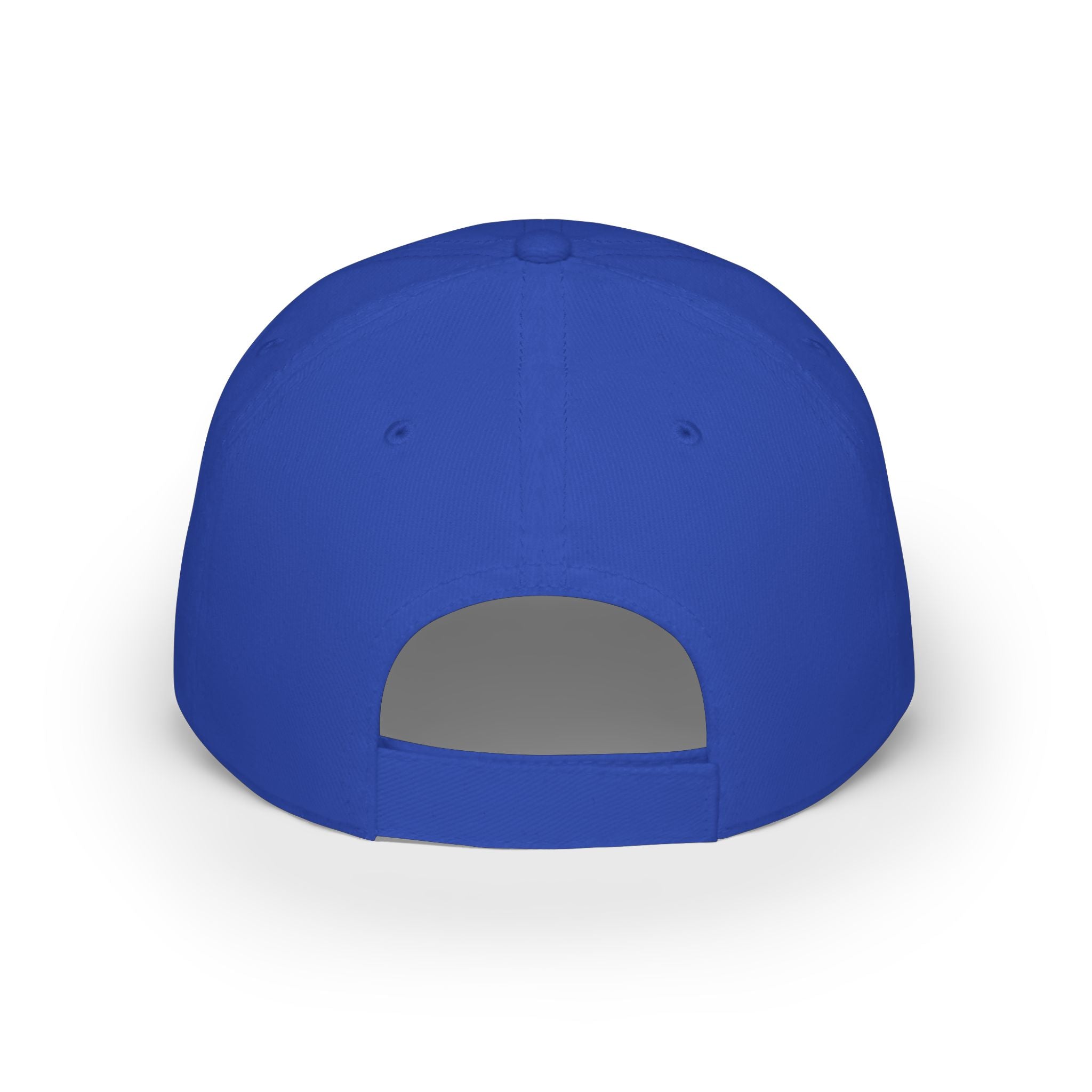 GAME DAY Low Profile Baseball Cap | leopard Stars Sport Fan Hat